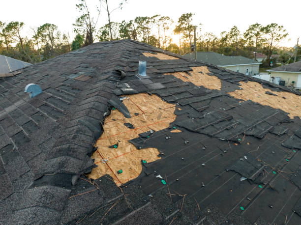 Best Storm Damage Roof Repair  in Rahway, NJ